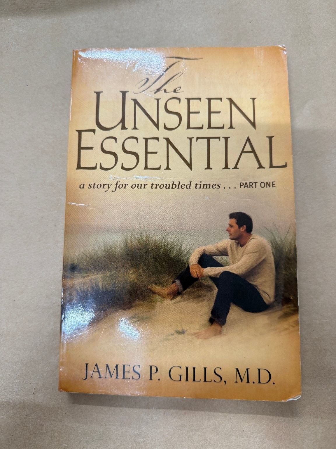 The Unseen Essential James P. Gills MD 2007 Fiction Contemporary Spiritual
