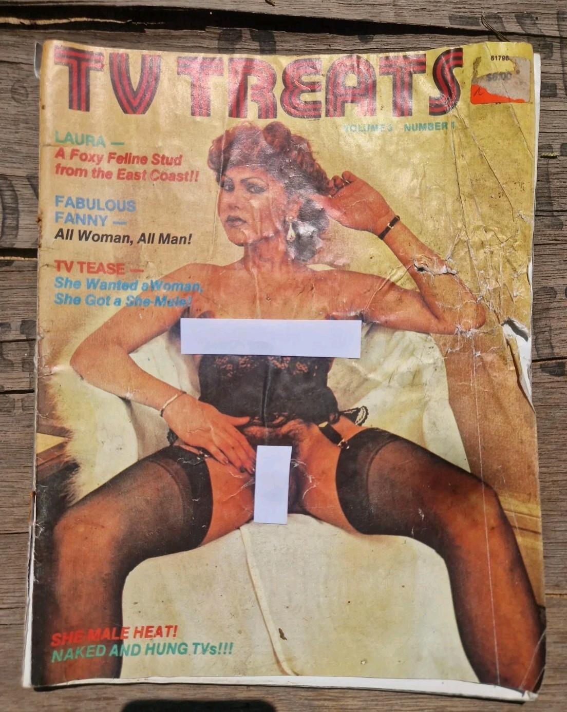 RARE 1981 TV TREATS MAGAZINE. TRANSEXUAL, SHEMALE, TRANSGENDER, LGBT INTEREST