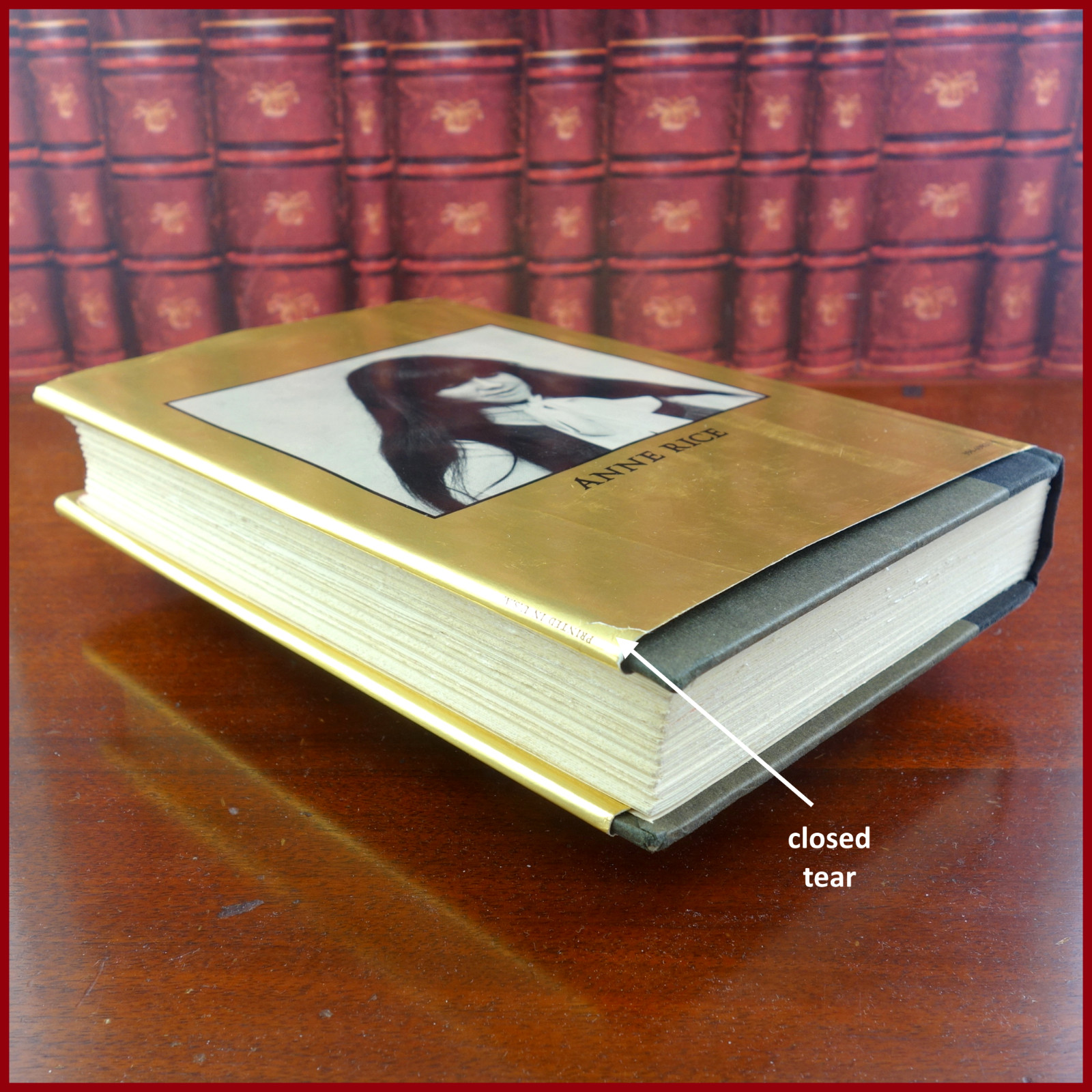 INTERVIEW WITH THE VAMPIRE, Anne Rice, 1ST EDITION & PRINT, Knopf, 1976, SIGNED