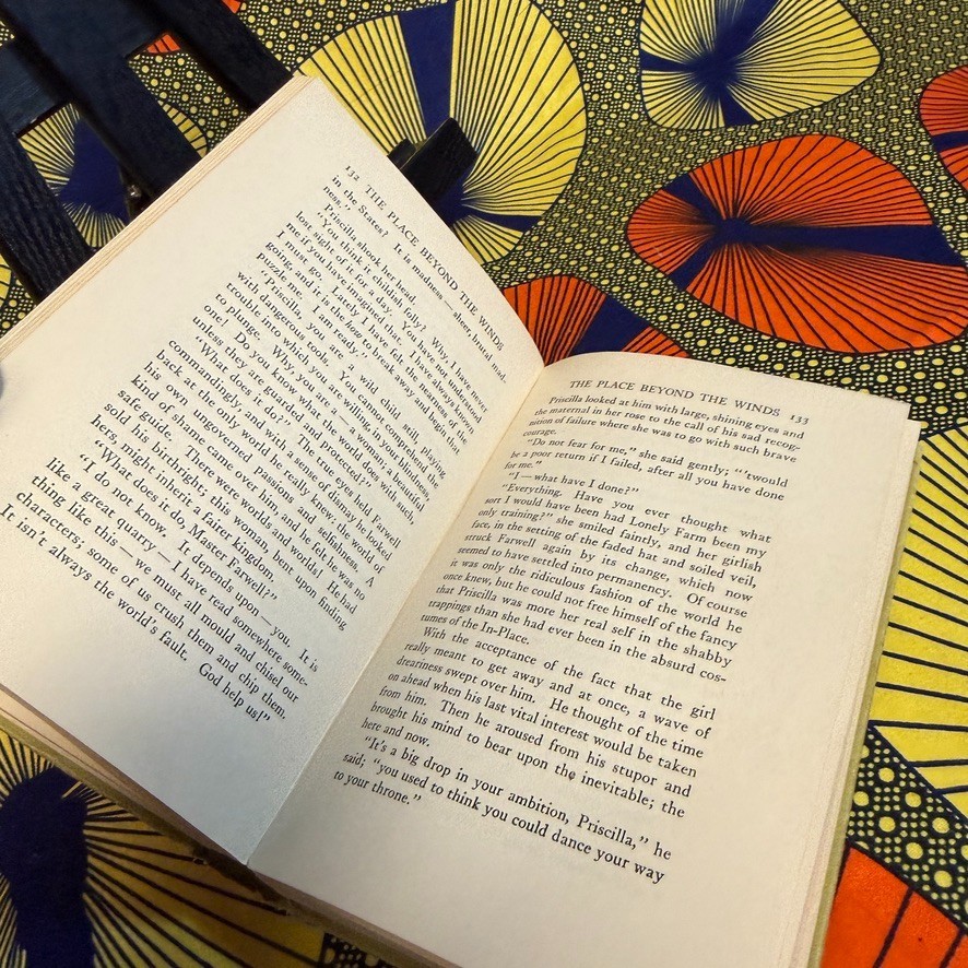 The Place Beyond the Winds Harriet T Comstock 1914 Grosset HC