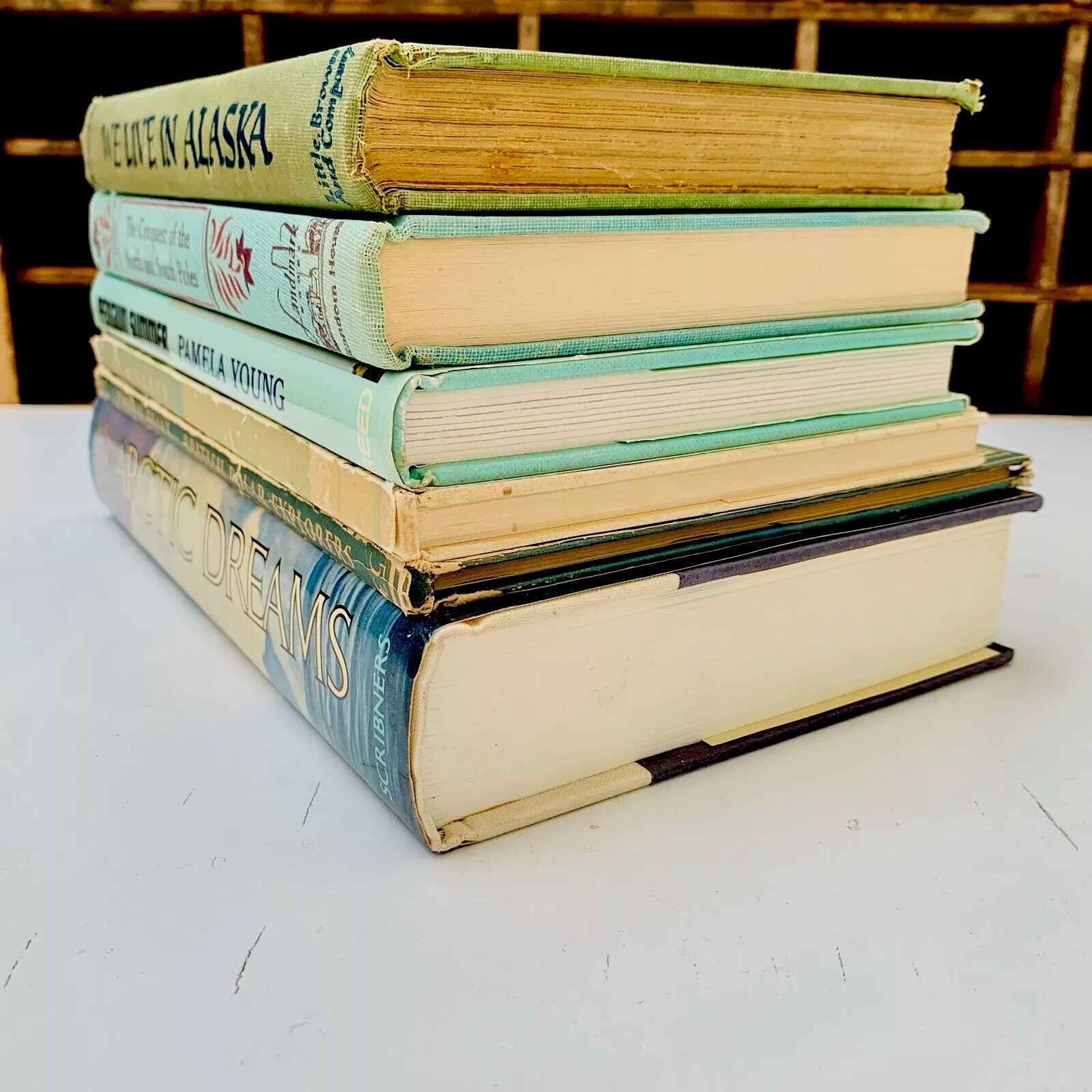 Vintage ARCTIC Books Stack Lot of 6 Alaska Greenland Polar Explorers North Pole