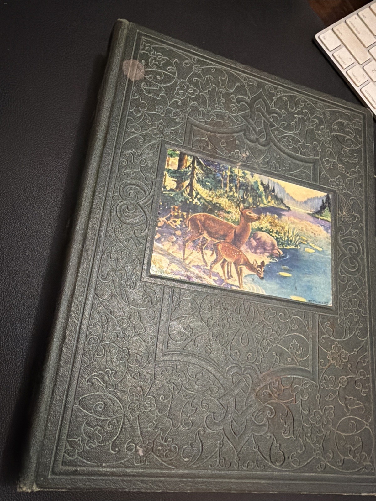 The New Wonder World Vol III The Nature Book Dallas Lore Sharp 1945 Illustrated