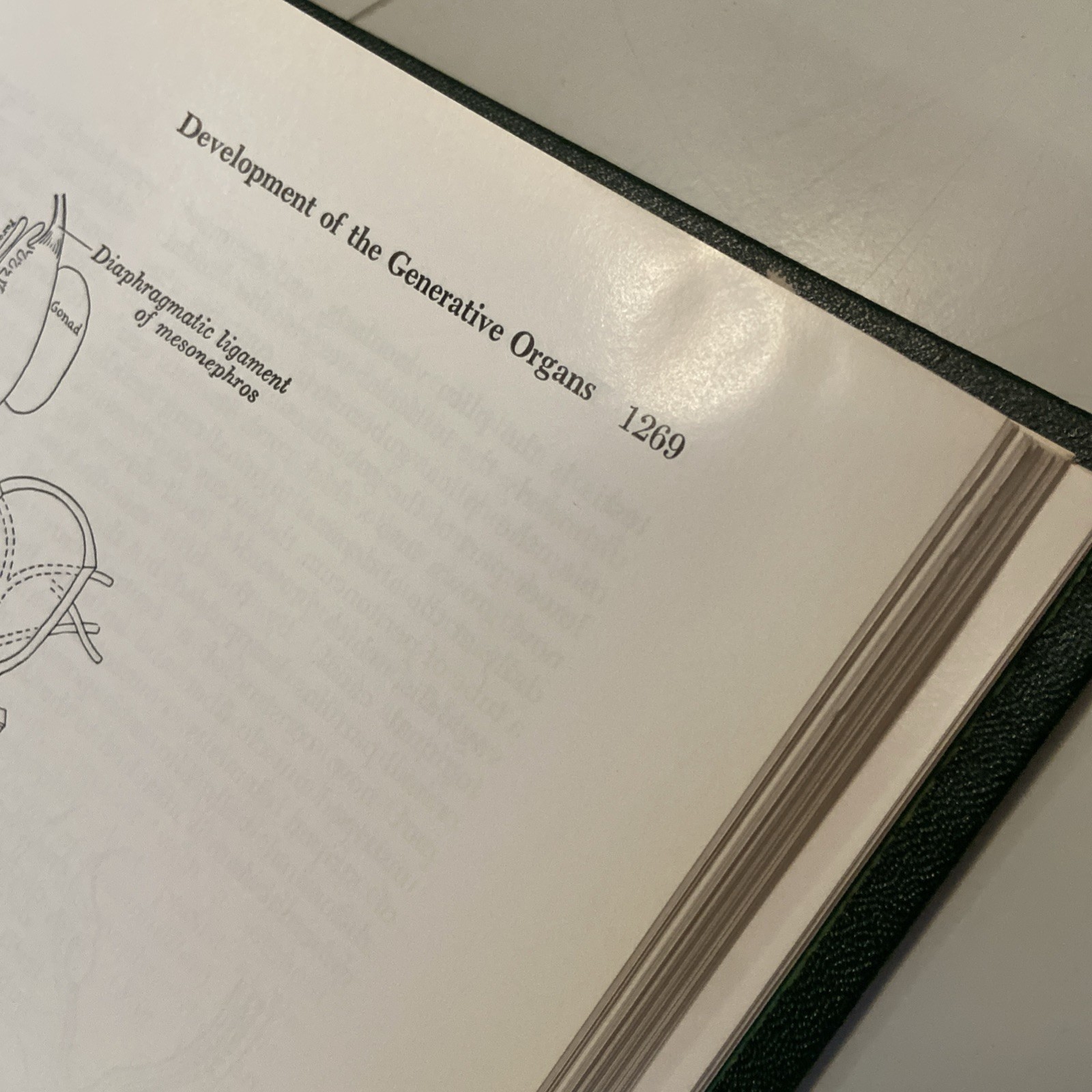 Vintage 1973 Gray’s Anatomy – 29th American Edition Lea & Febiger.