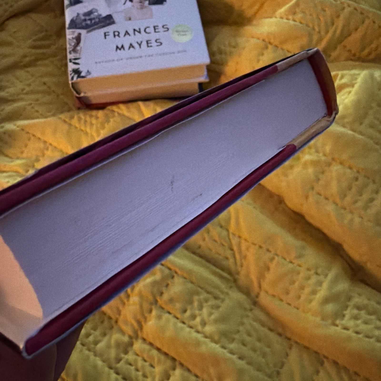 THE MAGICIANS ASSISTANT UNREAD SIGNED Ann Patchett (1997 HC) True First Printing