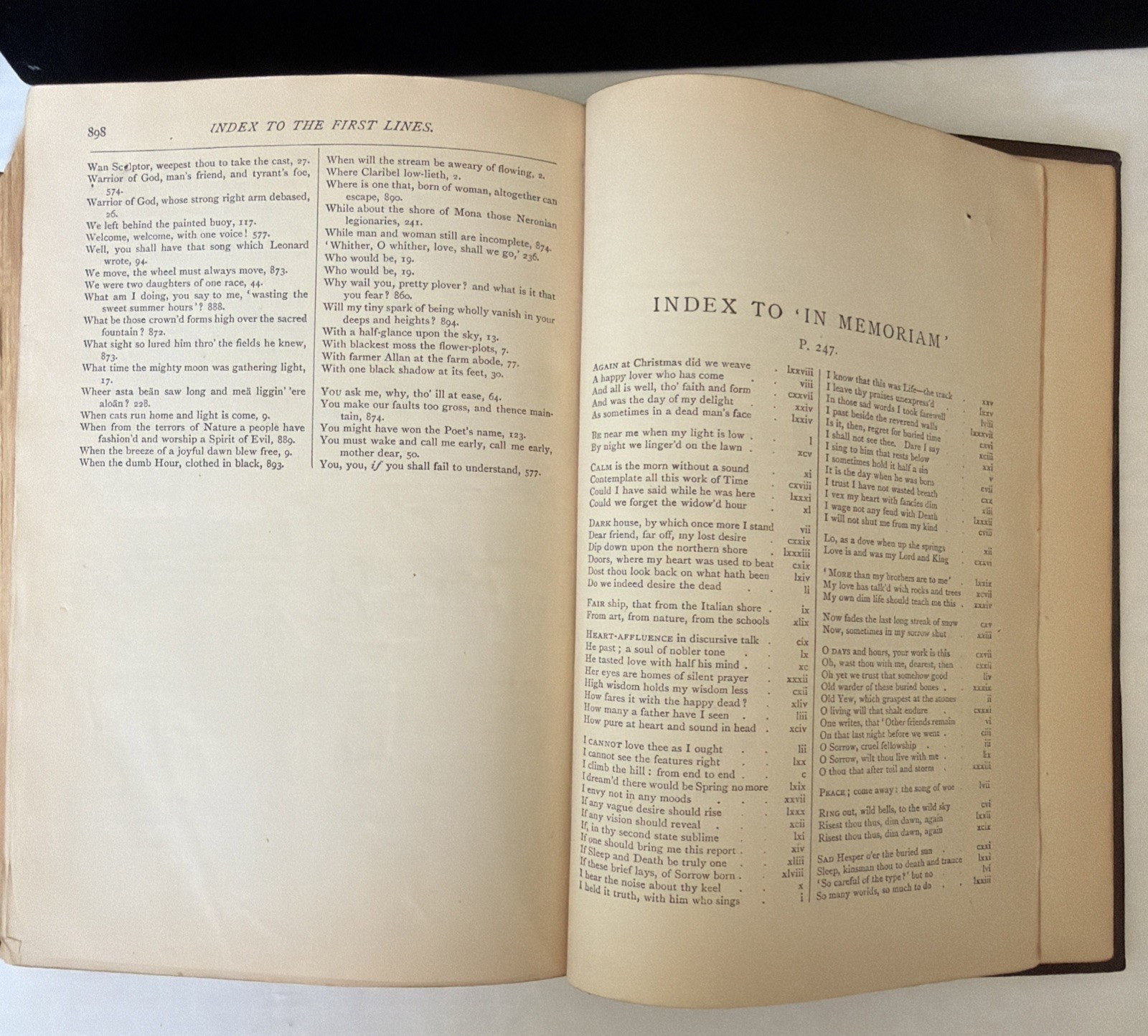 Antique Book The Works of Tennyson Poet Laureate 1901 Printing Half Leather