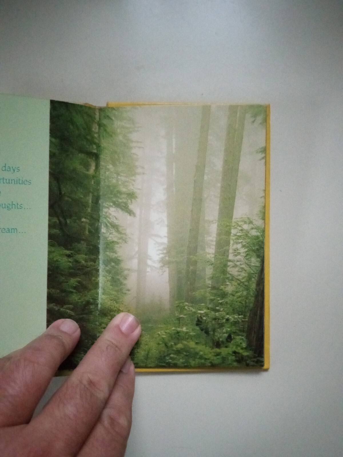 Some Special Thoughts To Keep You Company Hardcover Treasury Of Thoughts