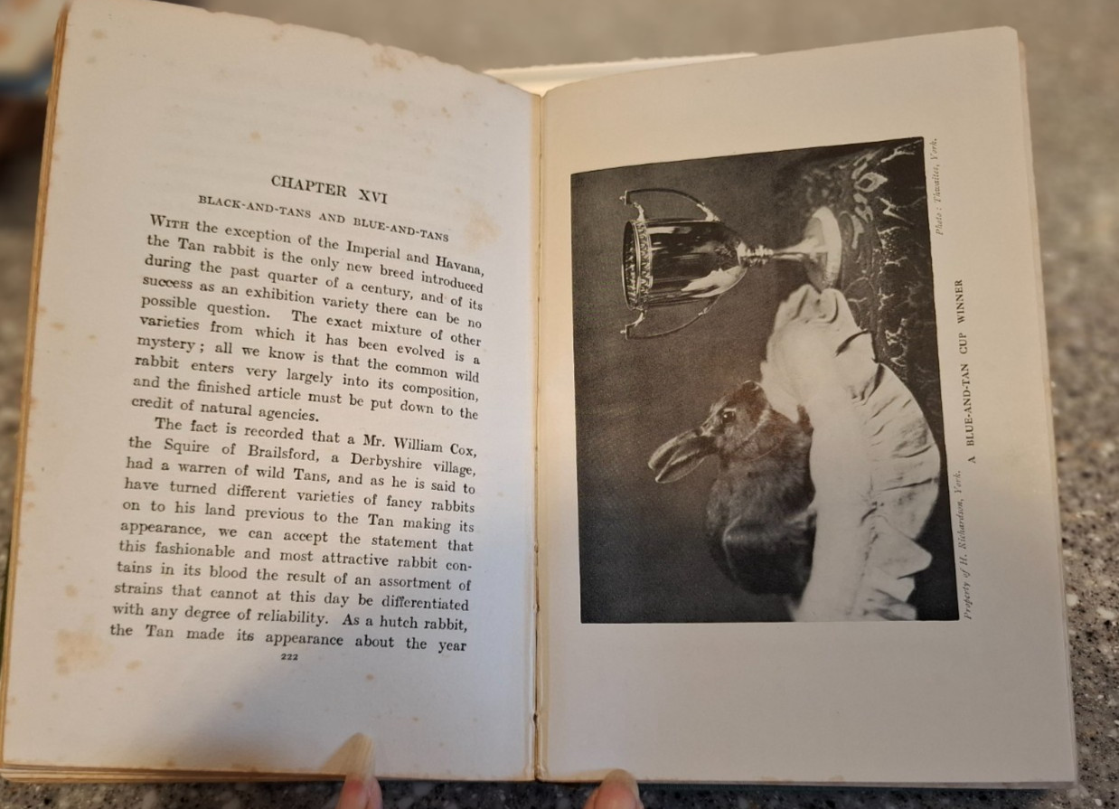 Practical Rabbit Keeping Illus. HB 1912 1st Ed George A Townsend Vintage Farming