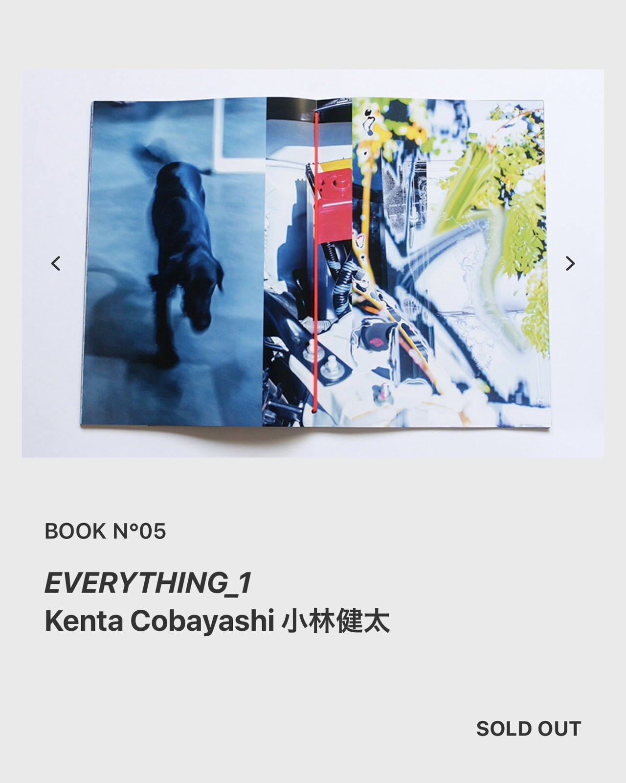 KENTA COBAYASHI ???? EVERYTHING_1 LIMITED EDITION OF 500