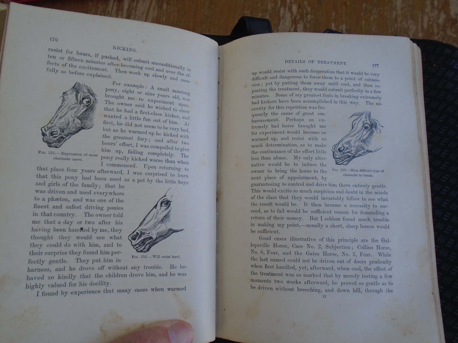 Taming and Educating Horses by D. Magner, 1877, 1112 Pages, 4 1/2 lbs!