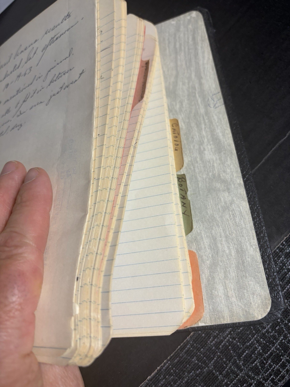 1963 Wildlife Management Field Notes Binder Zoo 260 Arizona Manuscript