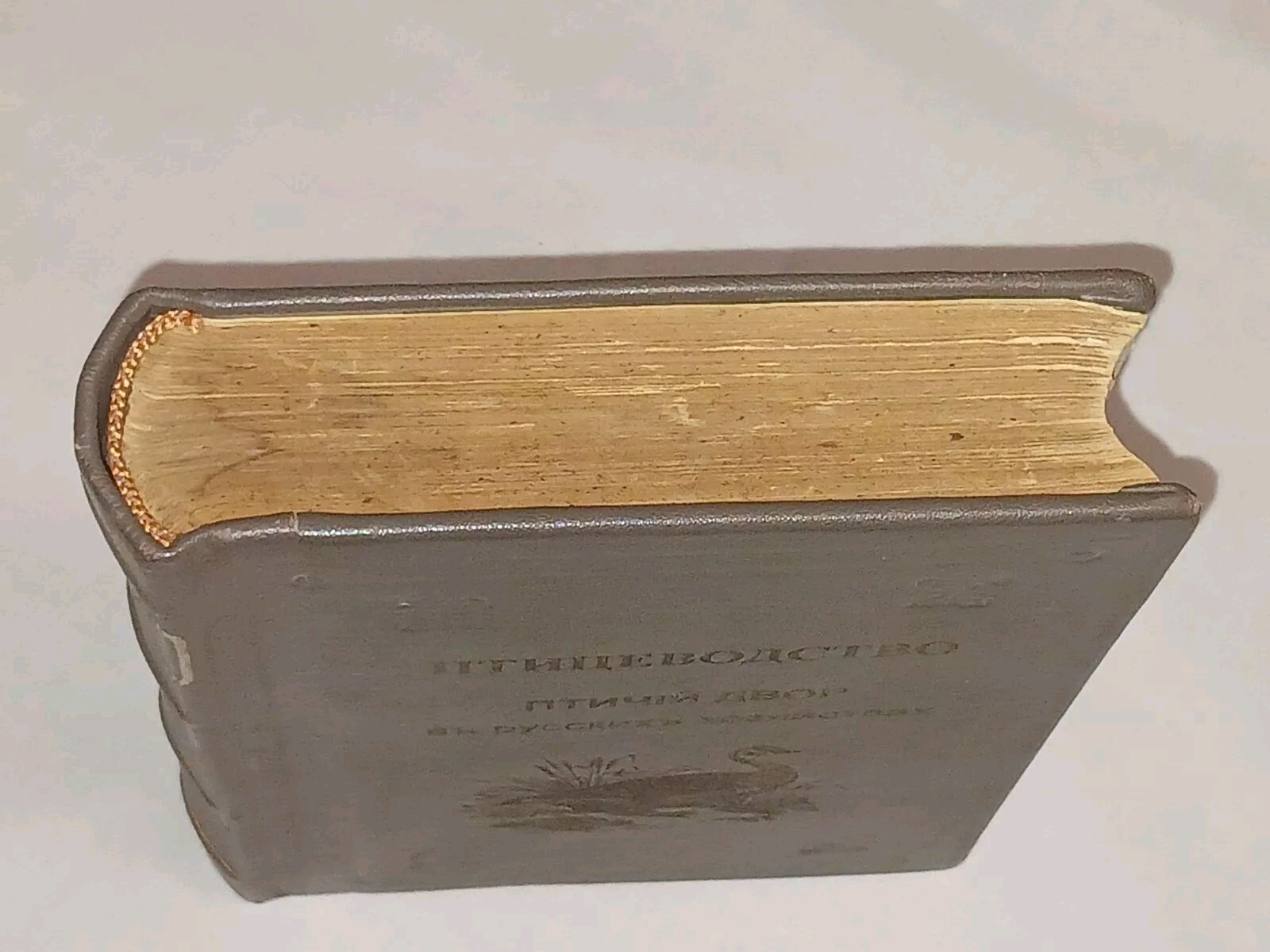 1895 ???????????? ?????? ???? ? ??????? ?????????? Antique book in Russian