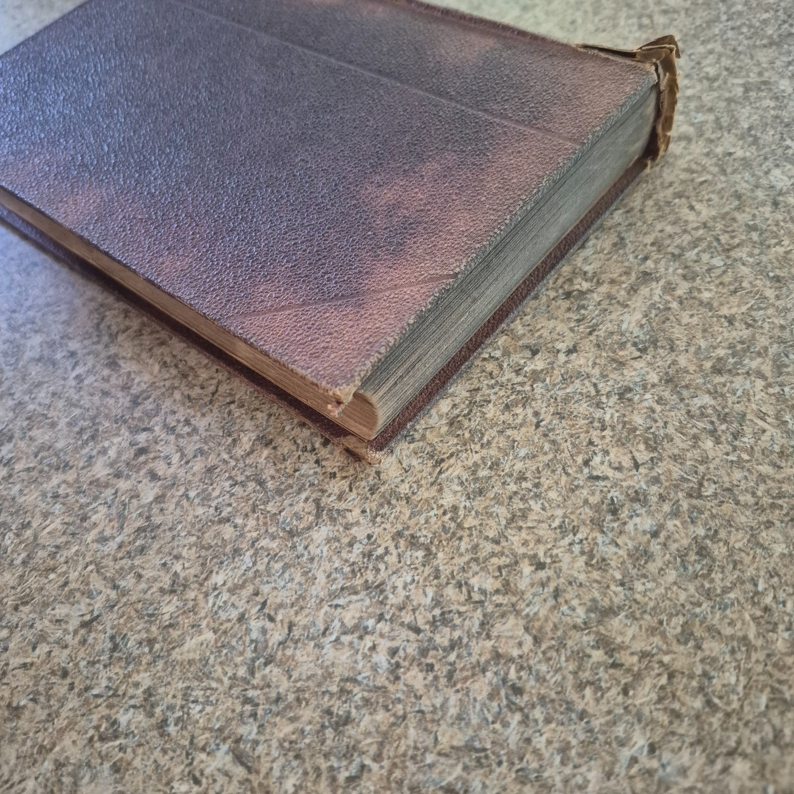 BIBLICAL MUSEUM – James Comper Gray Volume 5 1873 The Epistle To The Hebrews