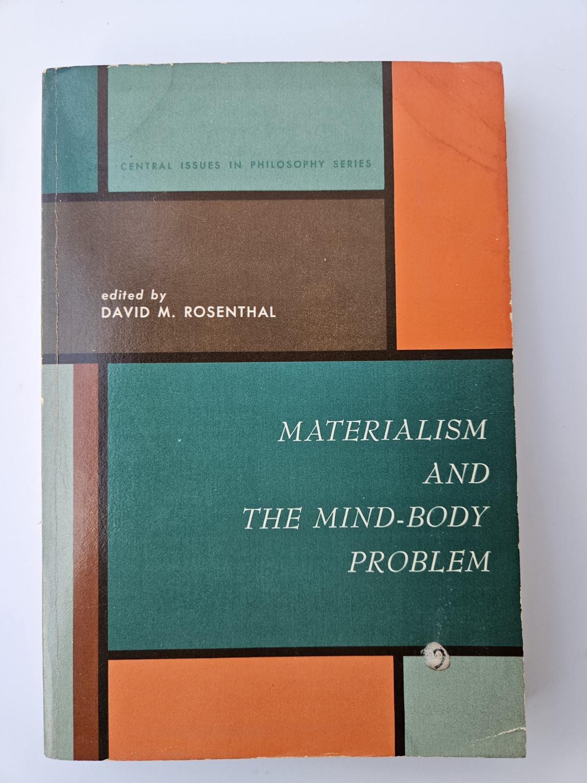 Materialism And The Mind Body Problem By David M. Rosenthal Vintage Paperback