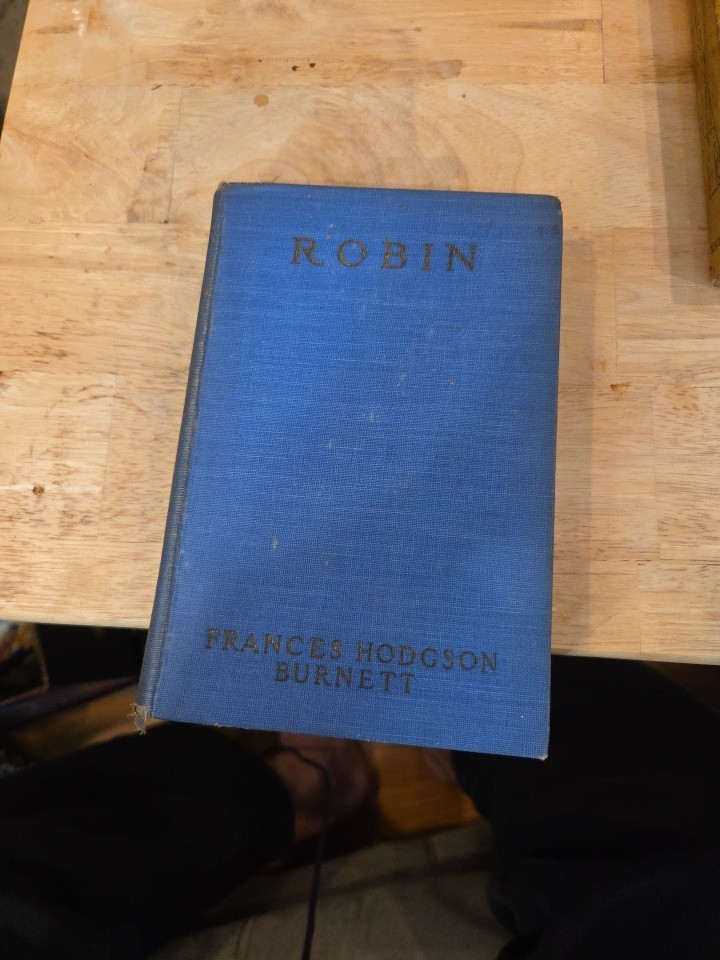 Robin By Frances Hodgson Burnett 1922 Vintage Book