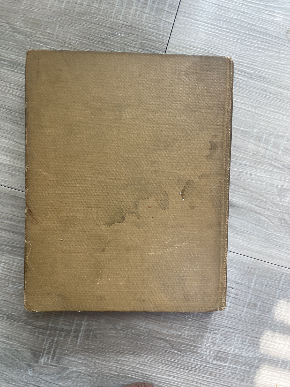 VOLPONE Loveless Comedy in Three Acts 1928 Viking Press Ben Jonson Stefan Zweig