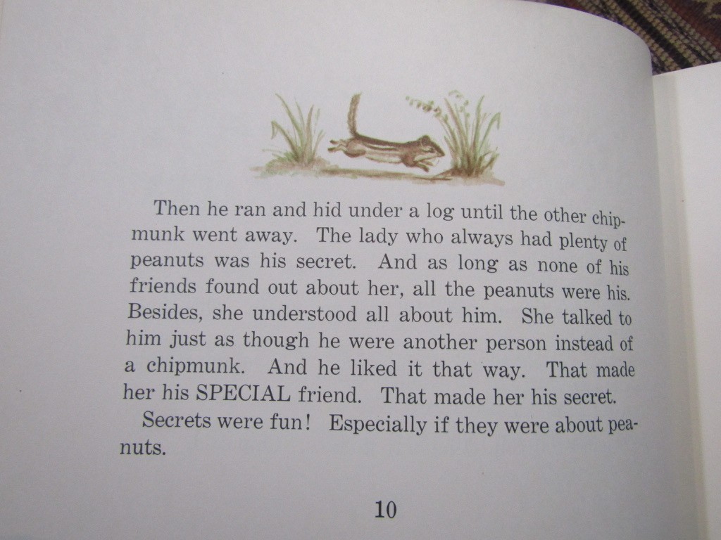 1962 Marsh CHIP THE CHIPMUNK Rare SIGNED 1st Ed. HC/DJ Illustrated Bethany Tudor