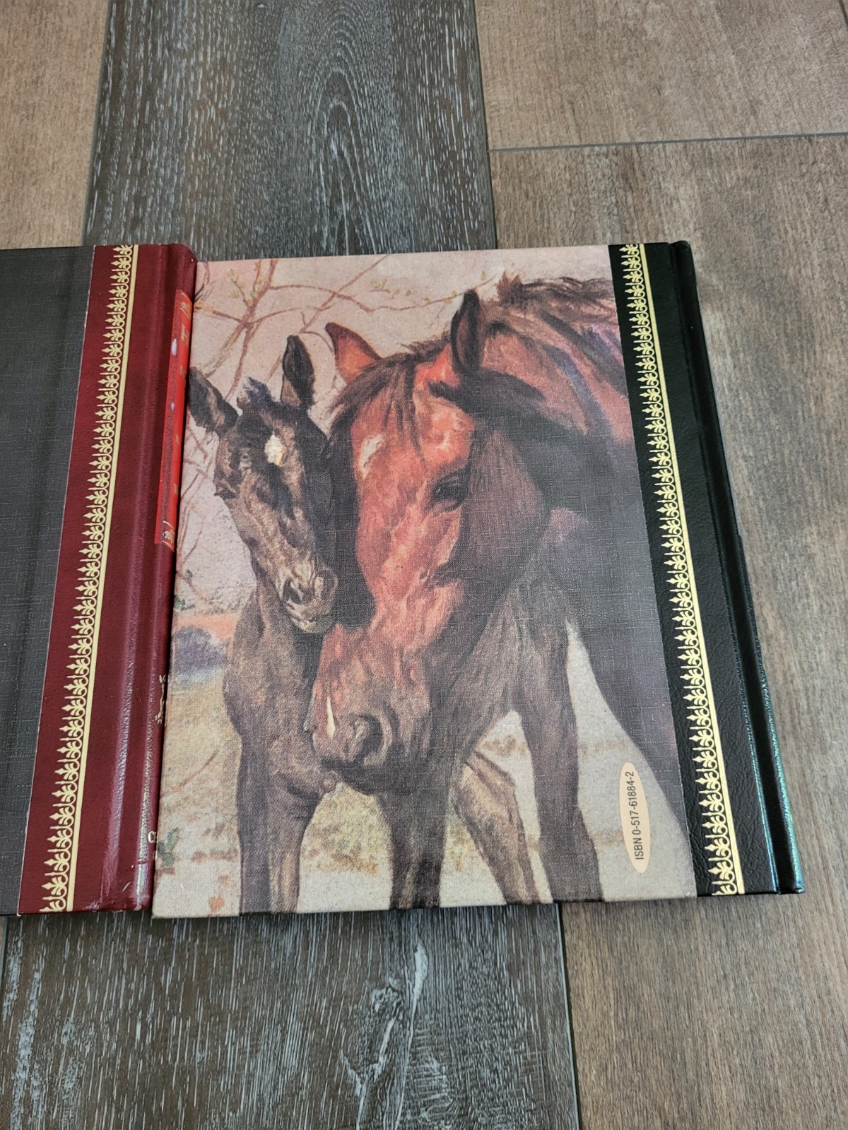 Vintage Childrens Classics Heidi Black Beauty Bonded Leather Slipcase Book Set