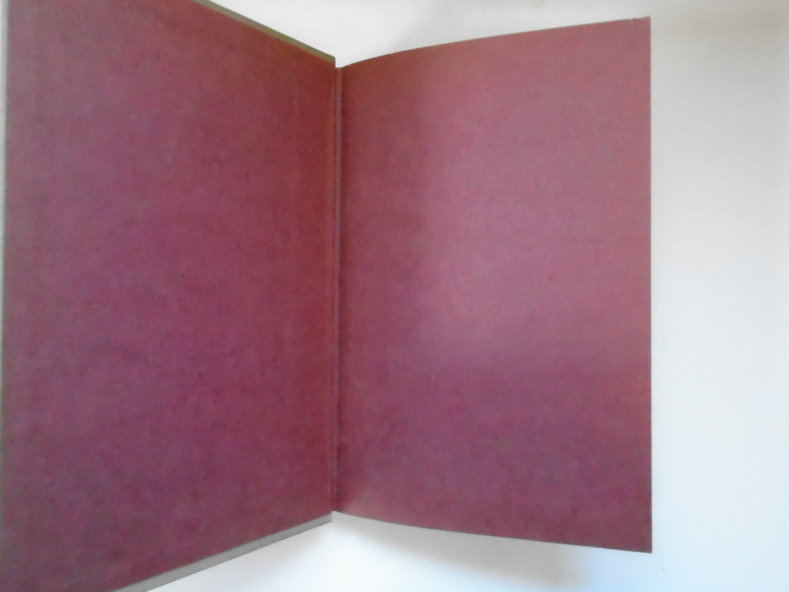Dear Rat, Julia Cunningham, Walter Lorraine, no DJ, Houghton Mifflin, 1st, 1961