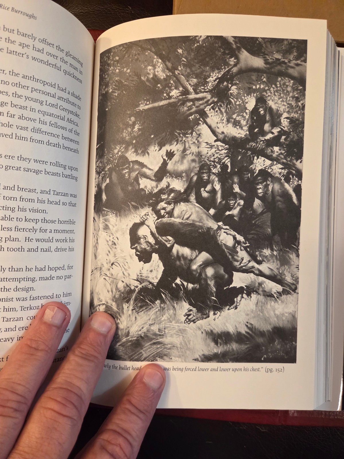 TARZAN OF THE APES Artist Limited Edition – Limited 600 Copies – ERB BOOKS