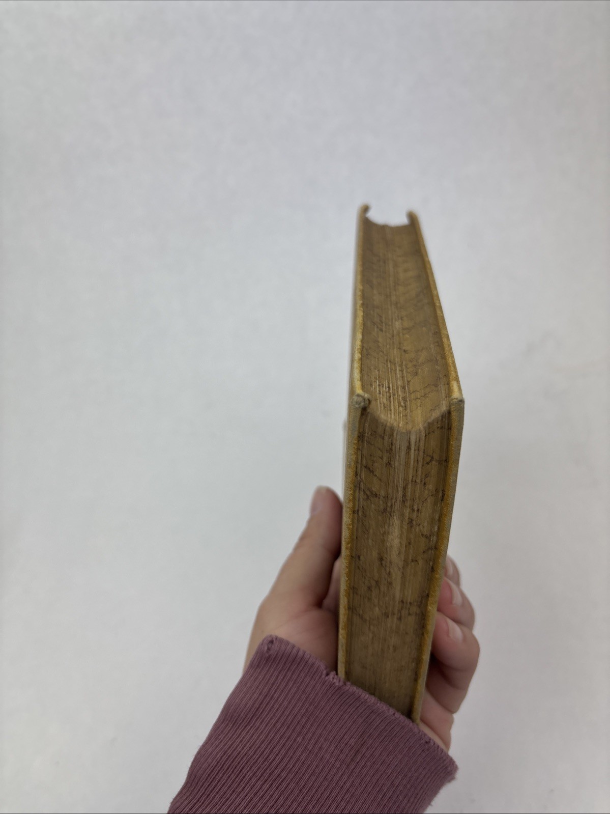 1884 Steele’s Sciences New Descriptive Astronomy by Joel Dorman Steele Hardcover
