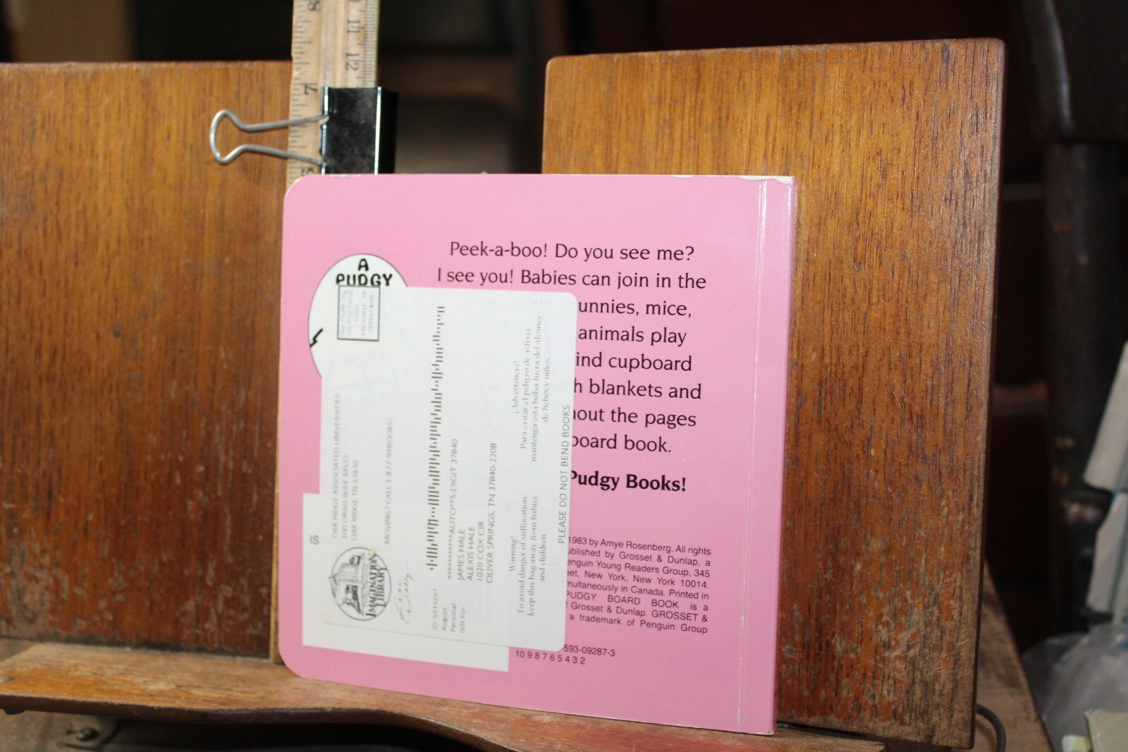 The Pudgy Peek-A-Boo Book Amye Rosenberg Children’s Board Book Dolly Imagination