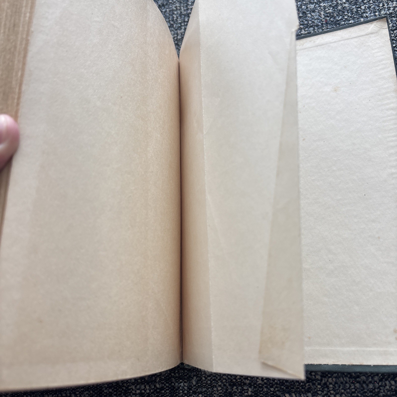Little Nature Wild Flowers Worth Knowing 1ST Edition Neltje Blanchan 1922