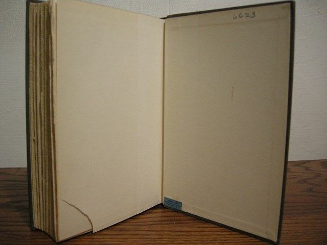 The Devil Alfred Neumann First American Edition 1928