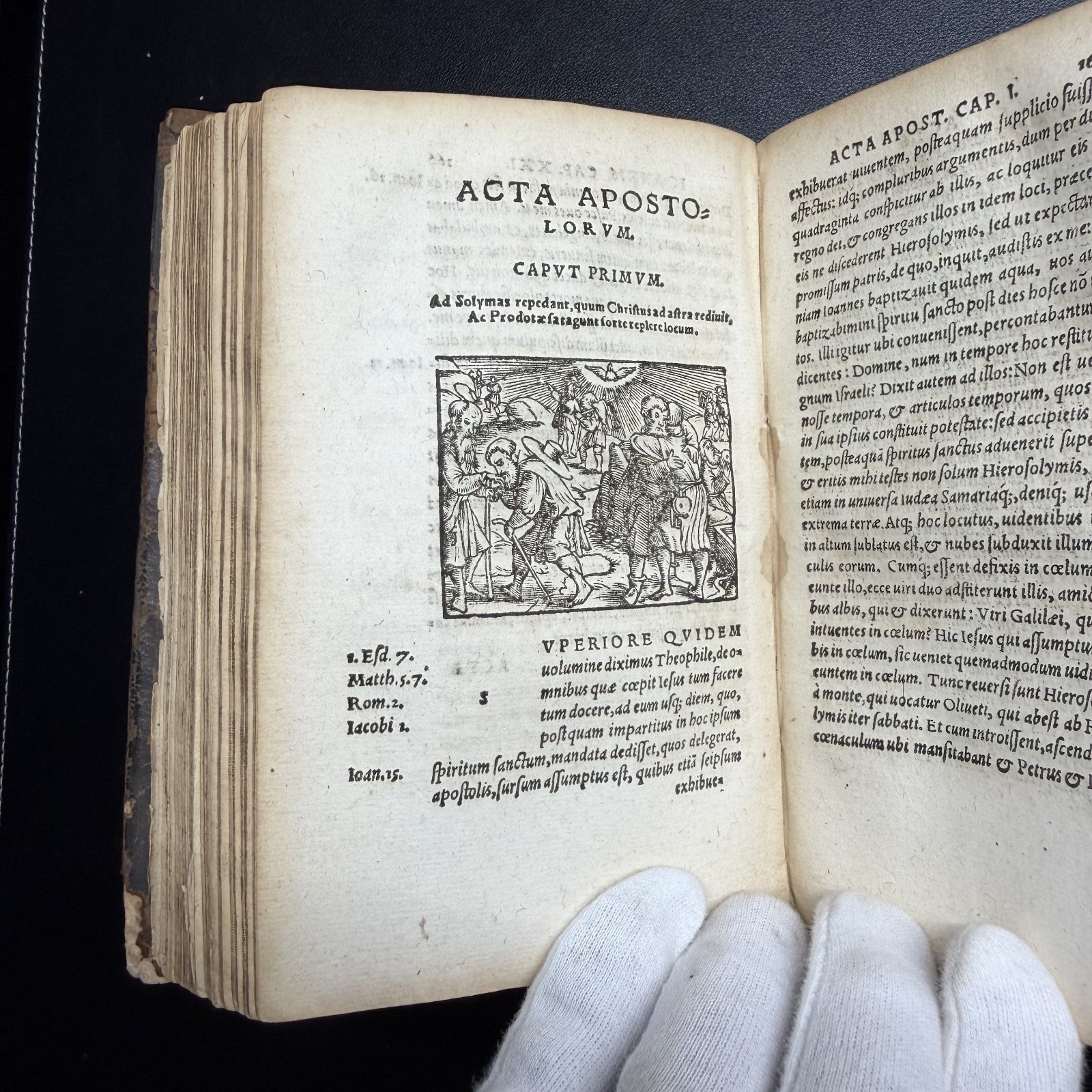 1567 ?? Erasmus Novi Testamenti, Latin NT, 100+ Woodcuts, Rihel