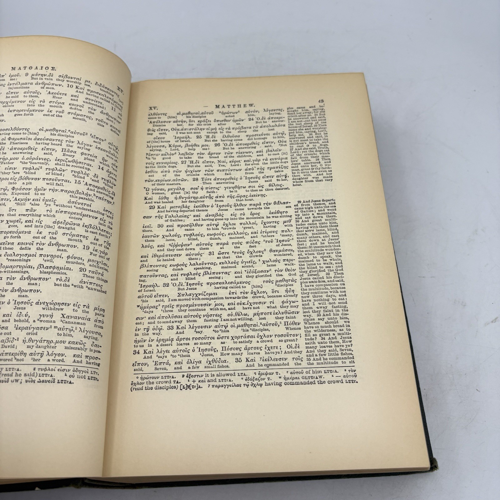 Vintage The Interlinear Literal Translation Greek New Testament Berry 1897