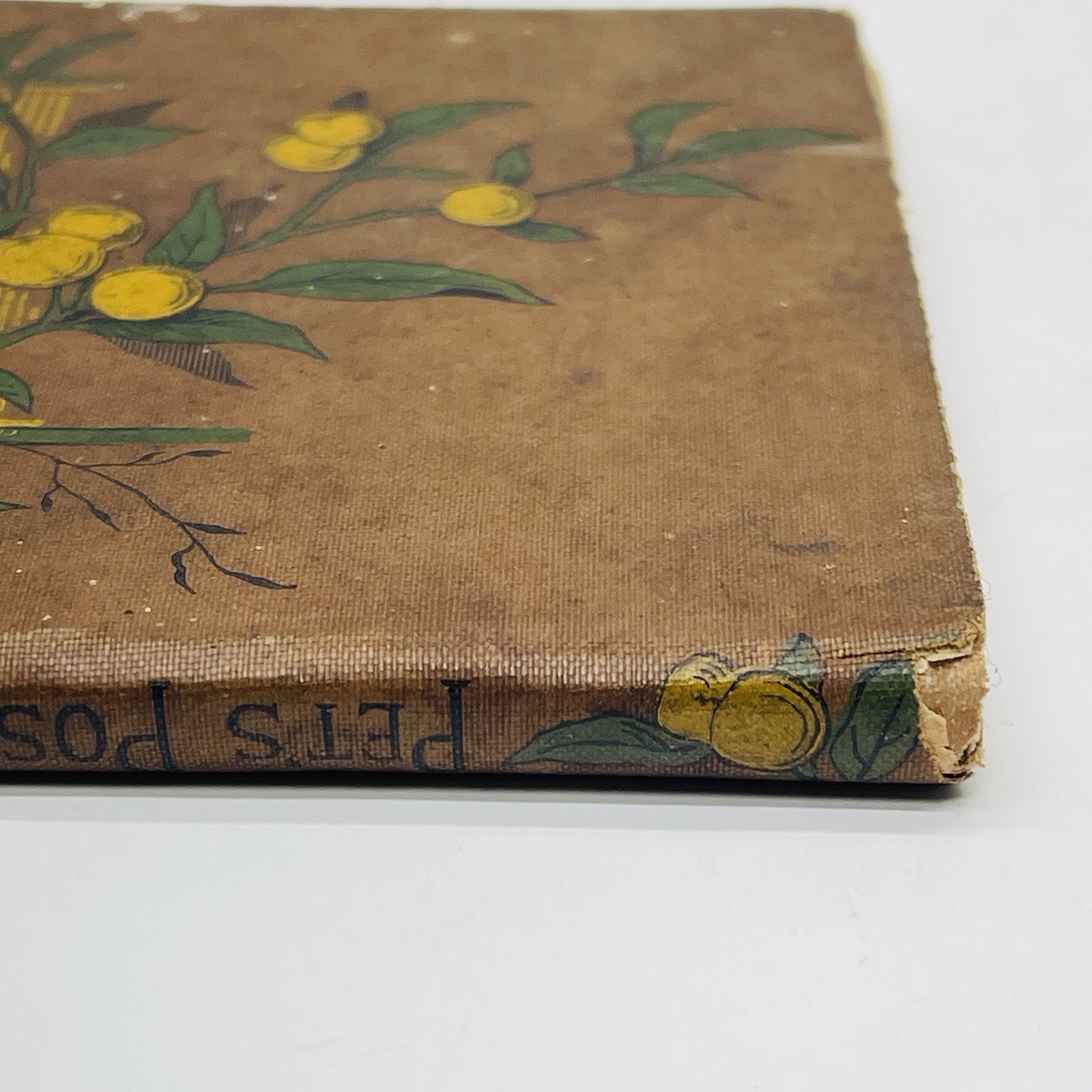 Pet’s Posy of Pictures & Stories 1800’s Antique Victorian Children’s Book HC