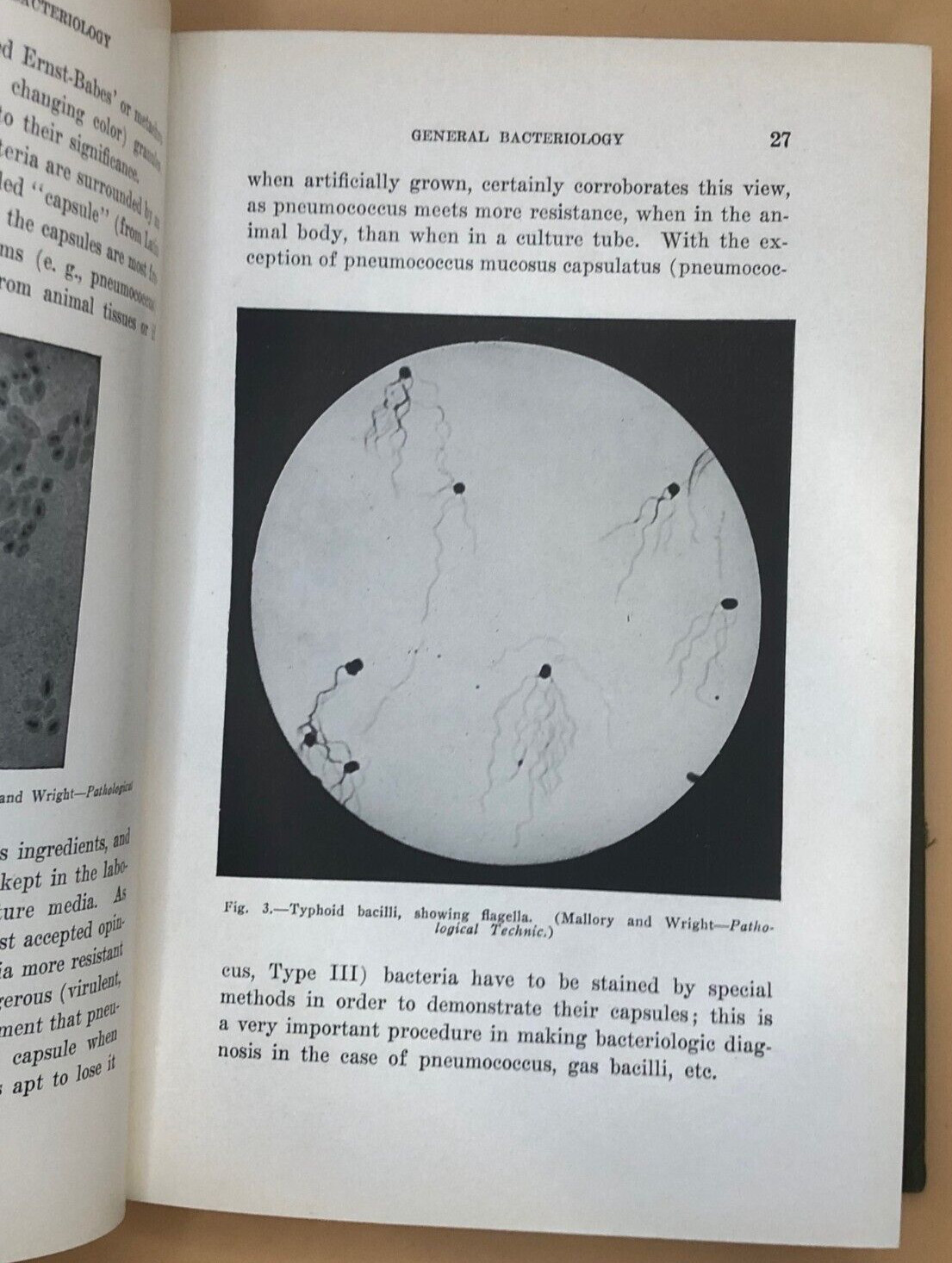 ANTIQUE Principles Bacteriology Eisenberg 1925 HARDCOVER MOSBY MICROBIOLOGY