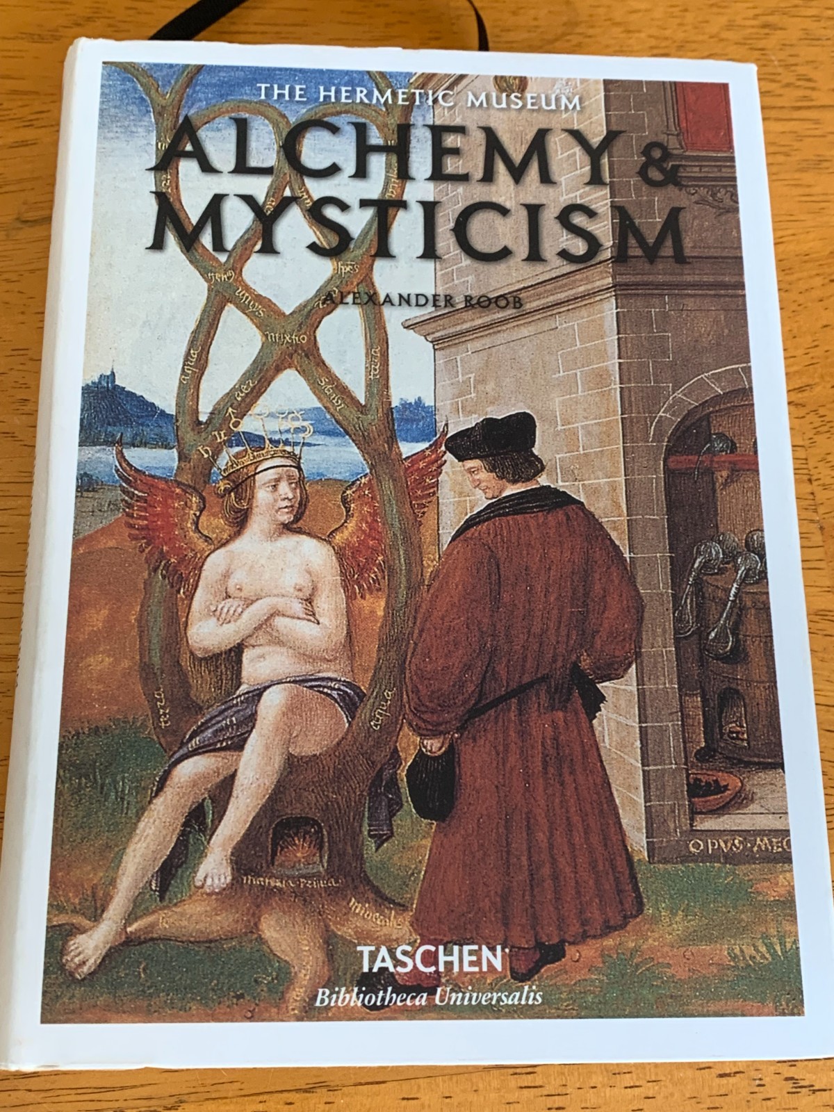 Alchemy and Mysticism – Taschen – Nice!