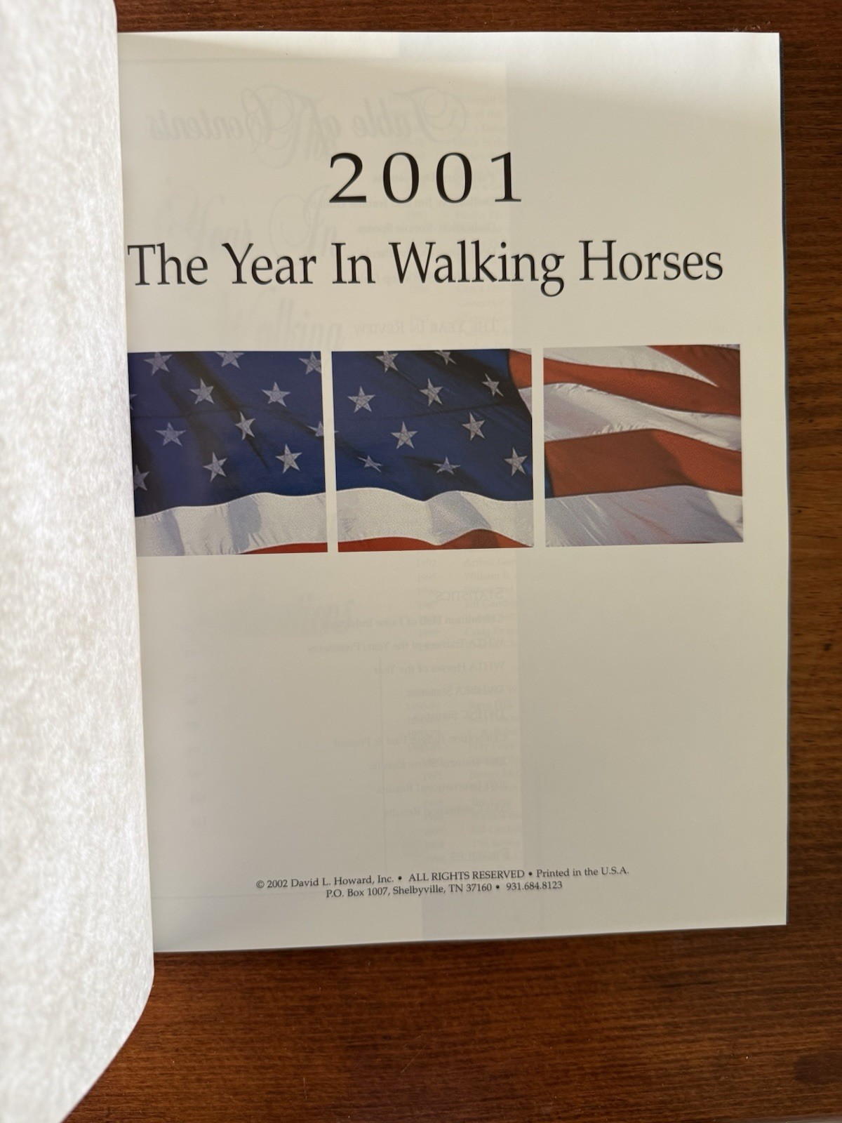 Book Stack Curated Equestrian Library Collection | Blue & Gold Horse Volumes