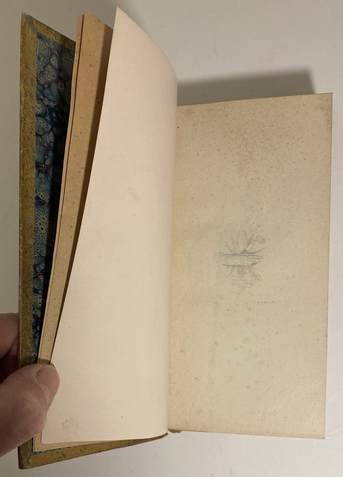 1899 Aphrodite Louÿs Paris France French Erotica Book Greek Love Female Prints