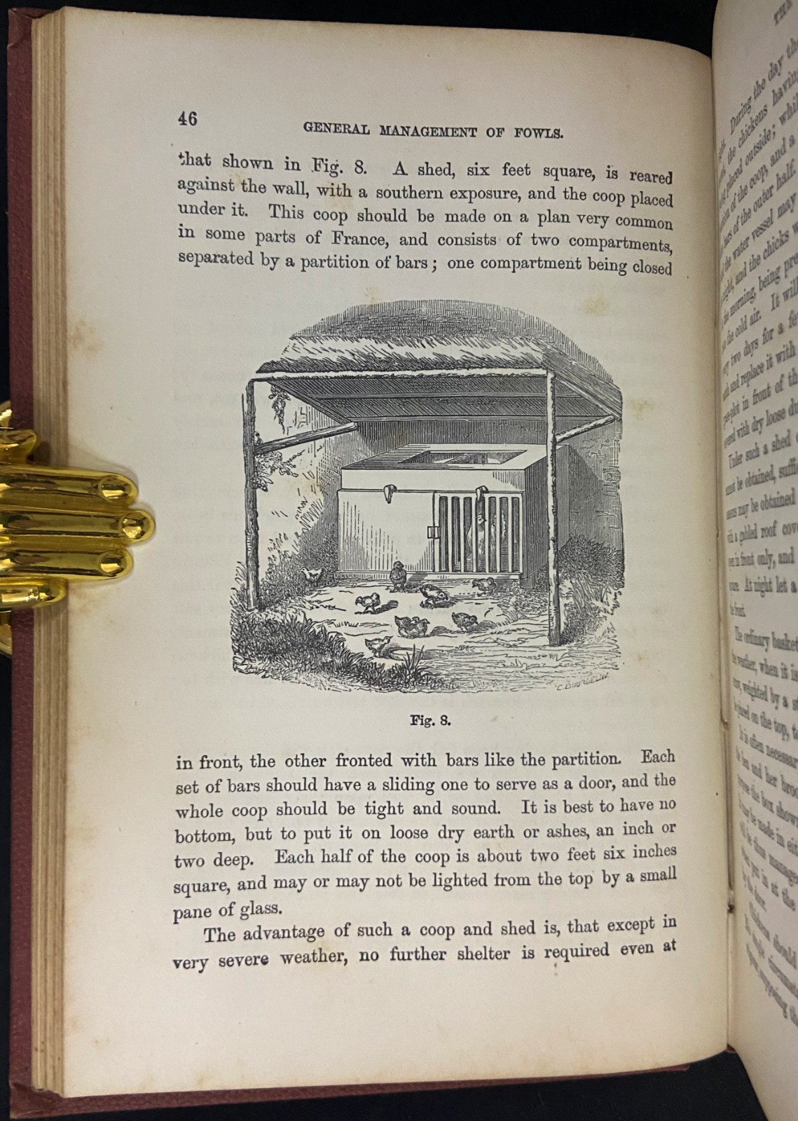 1880s THE PRACTICAL POULTRY KEEPER Farming & Natural History WRIGHT Antique Book