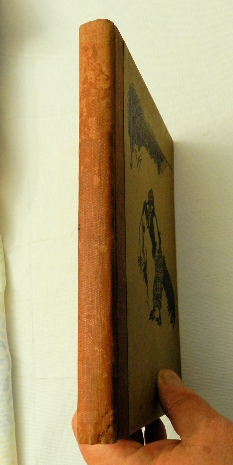 1899, Katooticut by C.F. Carter, HB ILLUS J.M. CONDE, 1st, ROOSTER TALE!