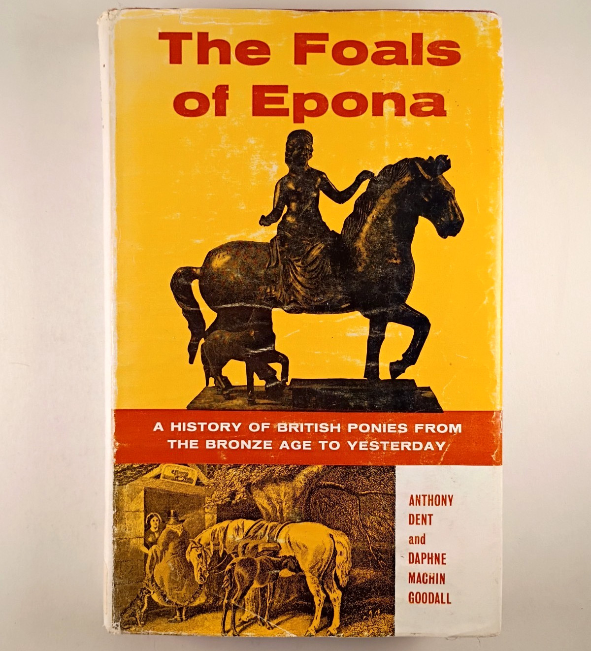 Foals of Epona History of British Ponies 1962 Dent Daphne Machin Goodall HC DJ