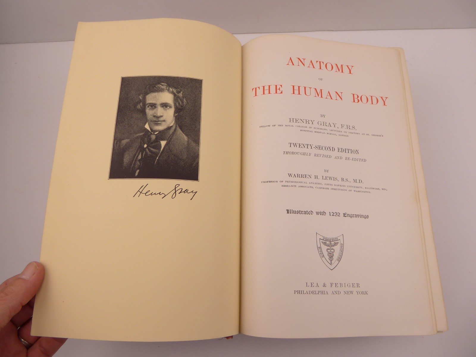 Grays Anatomy 1930 Twenty-Second Edition Henry Gray F.R.S