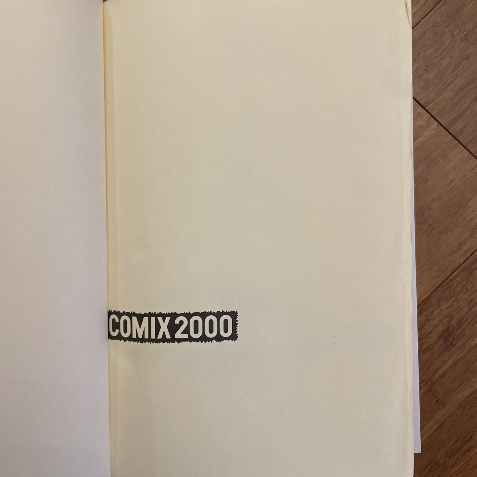 COMIX 2000 L’association Wordless Comics Anthology Bandes Desinees Catalog 1999