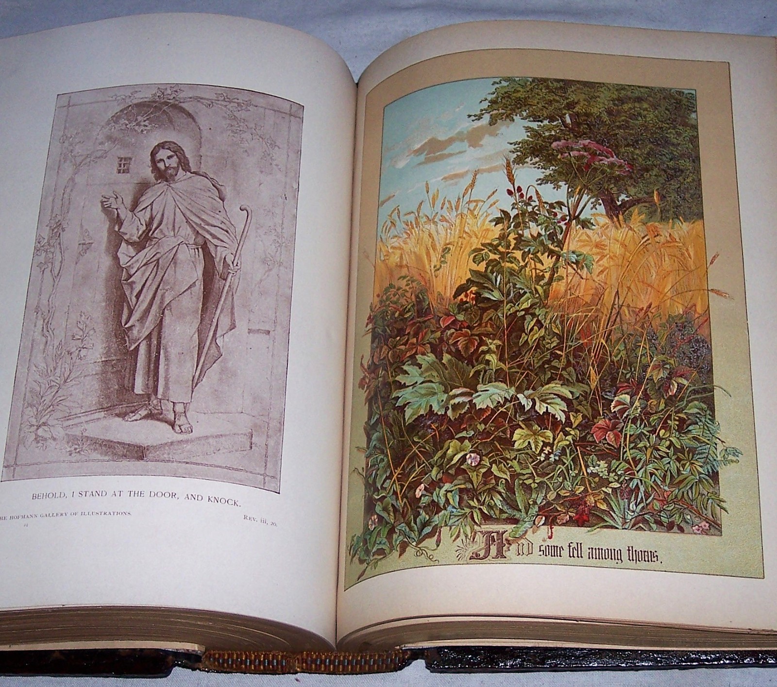 1896 Antique Clasp Family Bible Apocrypha Concordance Dictionary Psalms #30