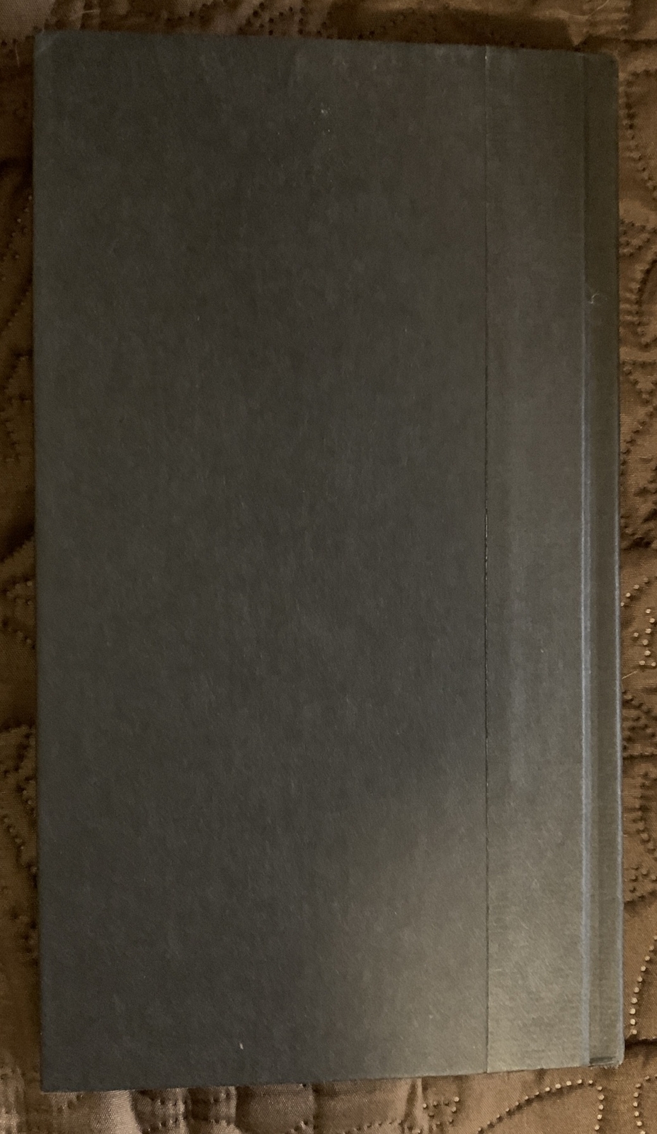 THE RUM DIARY Hunter S. Thompson Gonzo -1st/1st 1998 HCDJ VG+