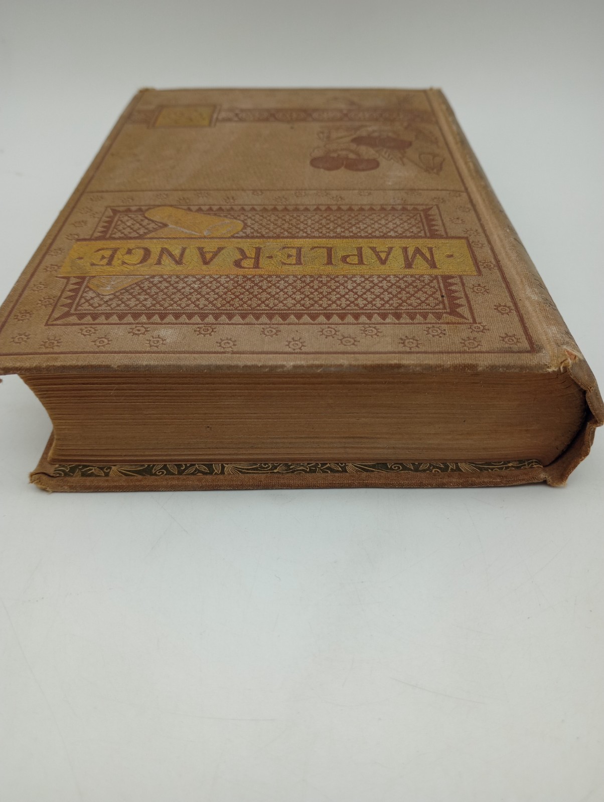 Maple Range A Frontier Romance, Edna A Barnard, Antique 1882 1st Edition, Henry