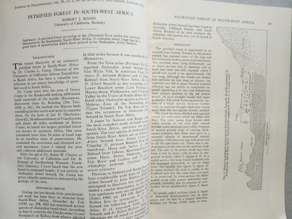 Journal of Paleontology January 1951 Petrified Forest Africa Cambrian Trilobites