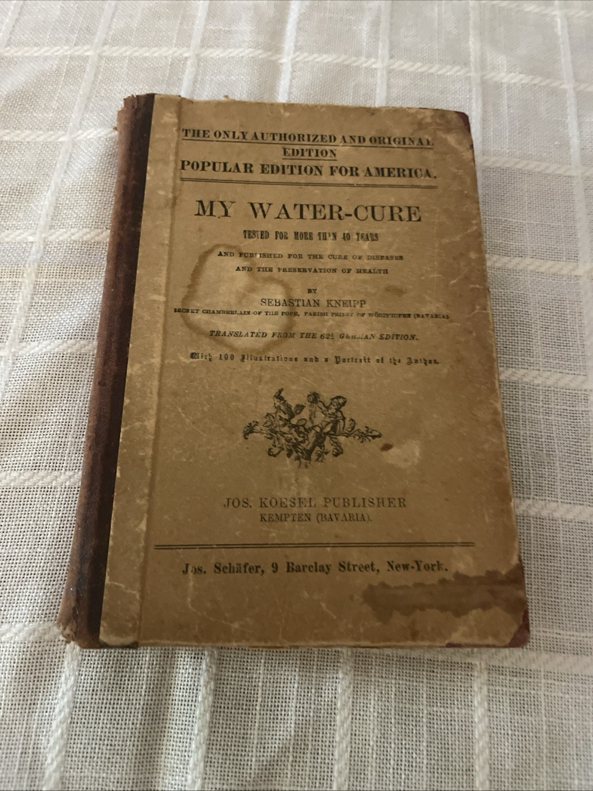 MY WATER-CURE – Kneipp, 1897 HYDROTHERAPY, NATUROPATHY, HERBALISM, NATURAL CURES