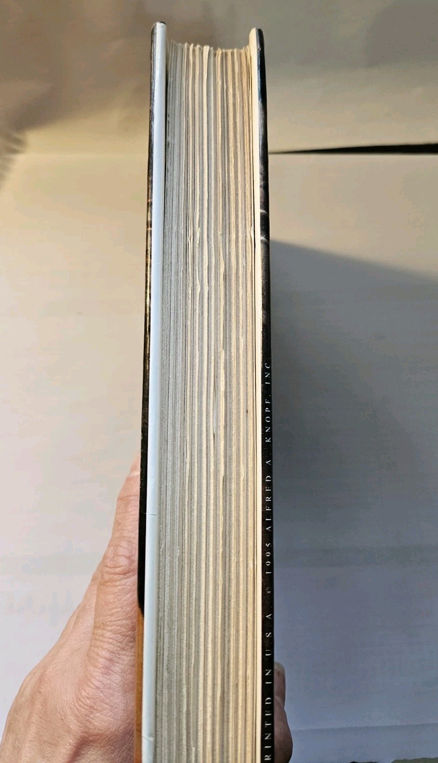 MEMNOCH THE DEVIL The Vampire Chronicles Anne Rice (1995) Hardcover 1st Edition
