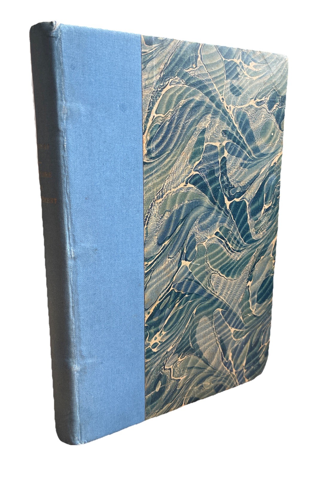 Histoire de L’Ornement/History of Ornament (1925) Alexandre Daisay (French Text)