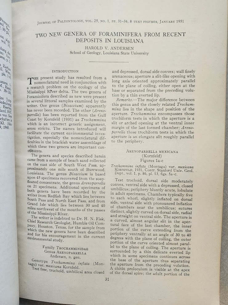 Journal of Paleontology January 1951 Petrified Forest Africa Cambrian Trilobites