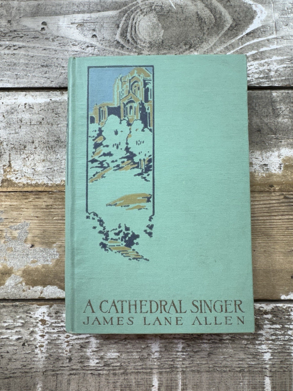 1916 Antique Novel „A Cathedral Singer“ James Lane Allen