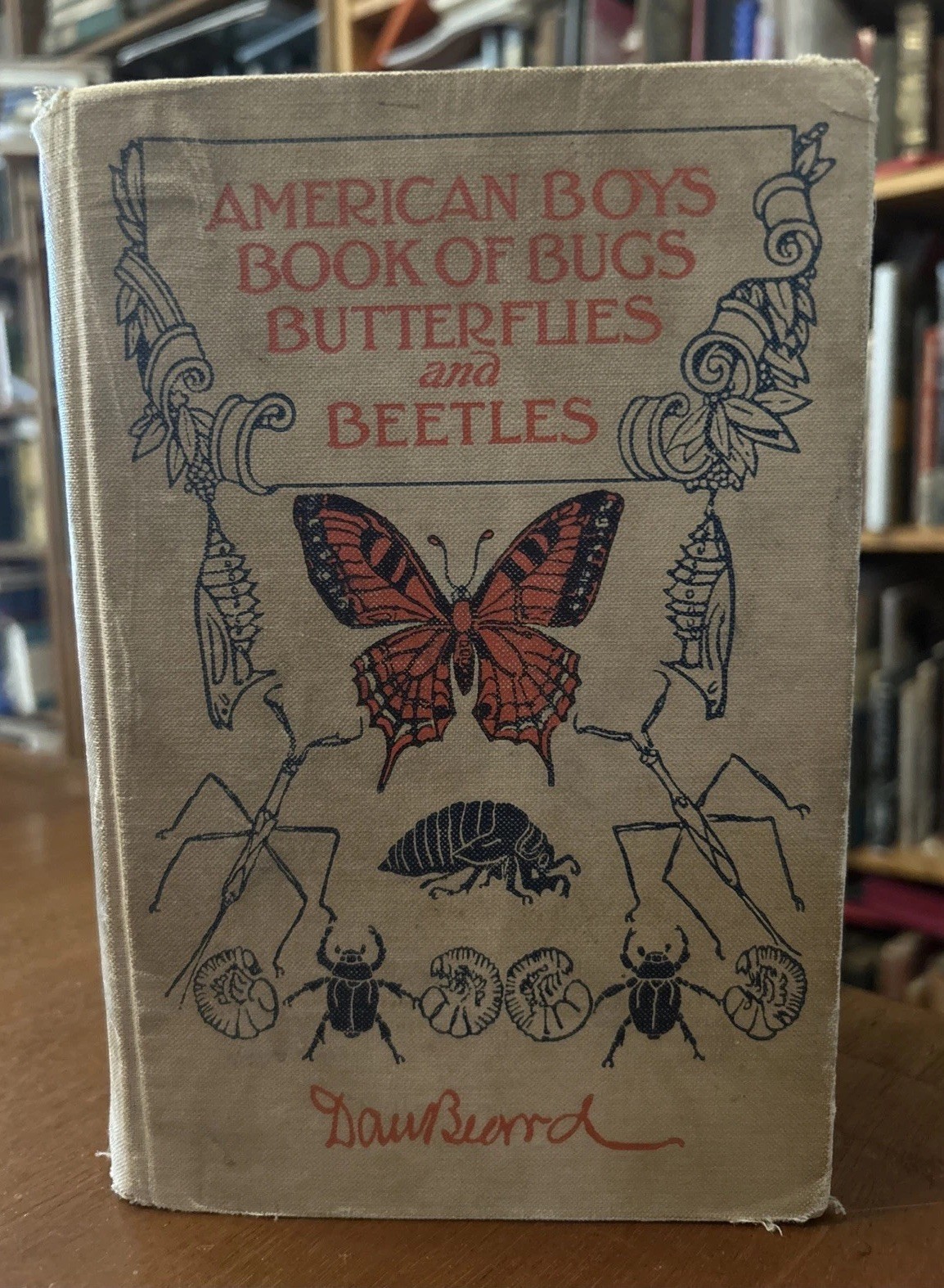American Boys Book of Bugs Butterflies and Beetles by Dan Beard 1915 1st Ed