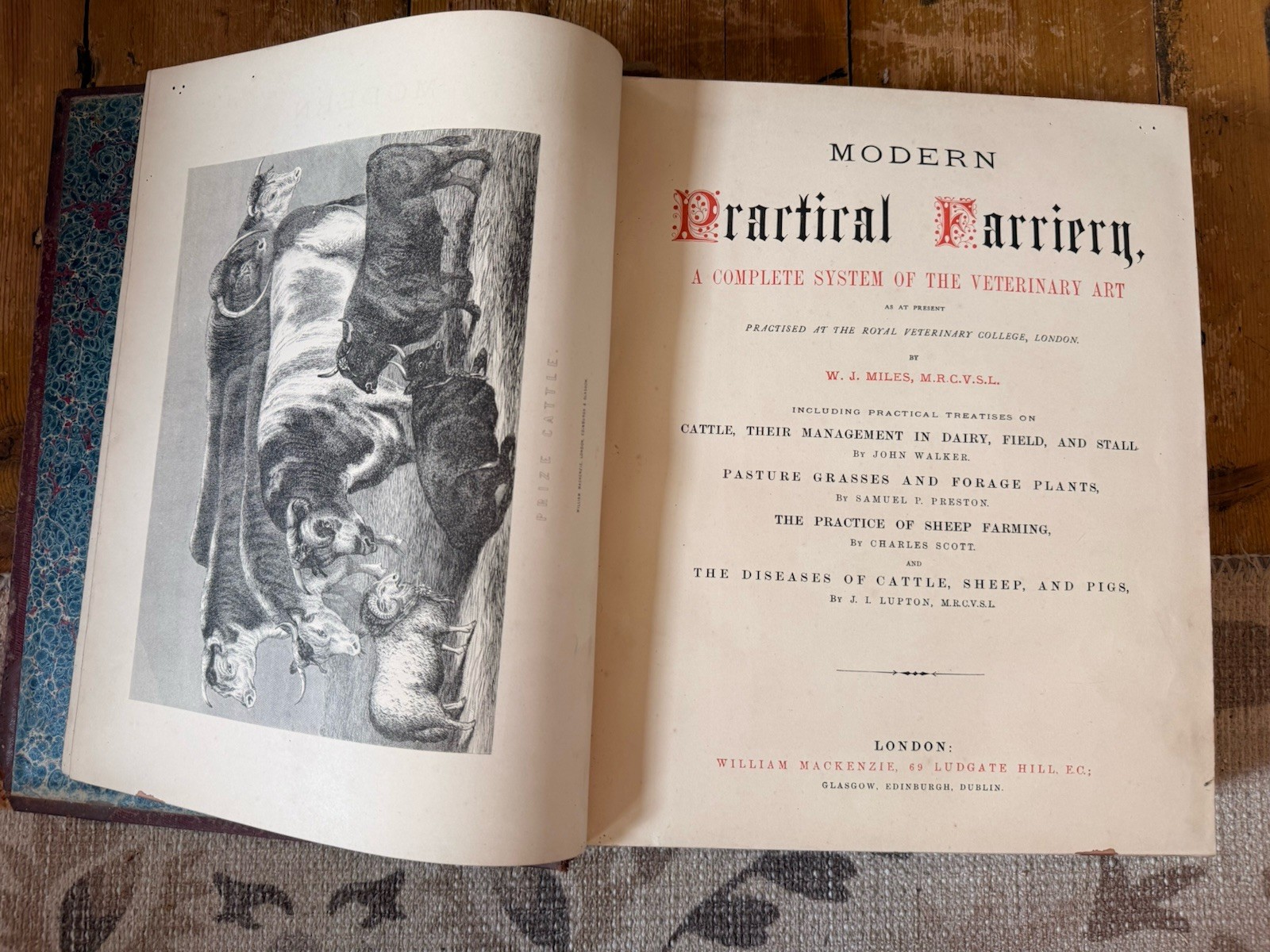 Antique Equestrian Reference Book Modern Practical Farriery Victorian Leather